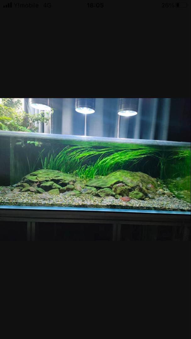 20kg業者様愛され高品質ろ材 納豆菌多孔質パワーボール20kg即時