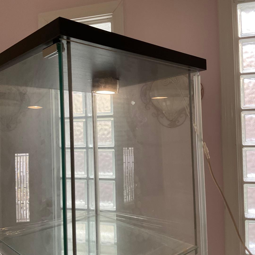 梱包・発送たのメル便】IKEA デトルフ ライト付き ガラス扉