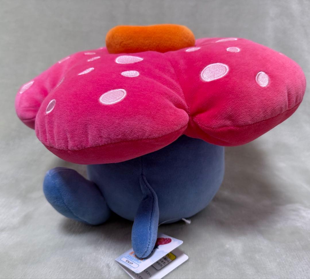 ラフレシア もちふわクッション