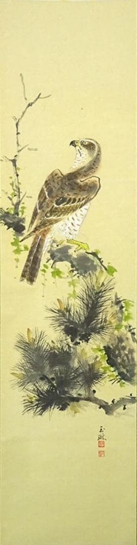 真作】掛軸 丸尾玉琳『老松に鷹之図』紙本 共箱付 掛け軸 a100816