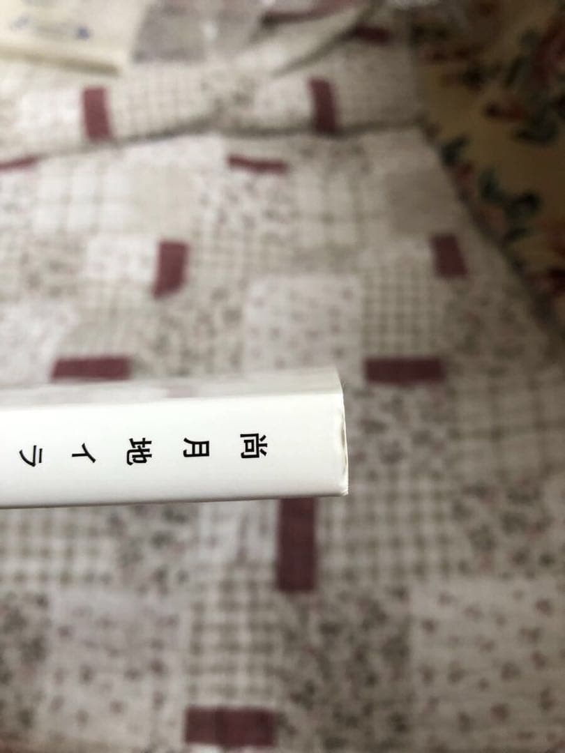 直筆イラストサイン入り ノスタルヂア 尚月地 艶漢