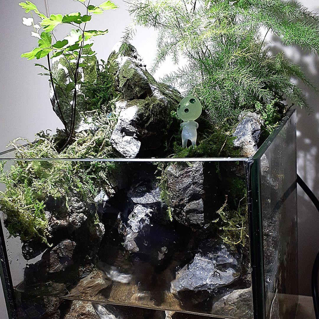 滝の流れるアクアテラリウム 水槽