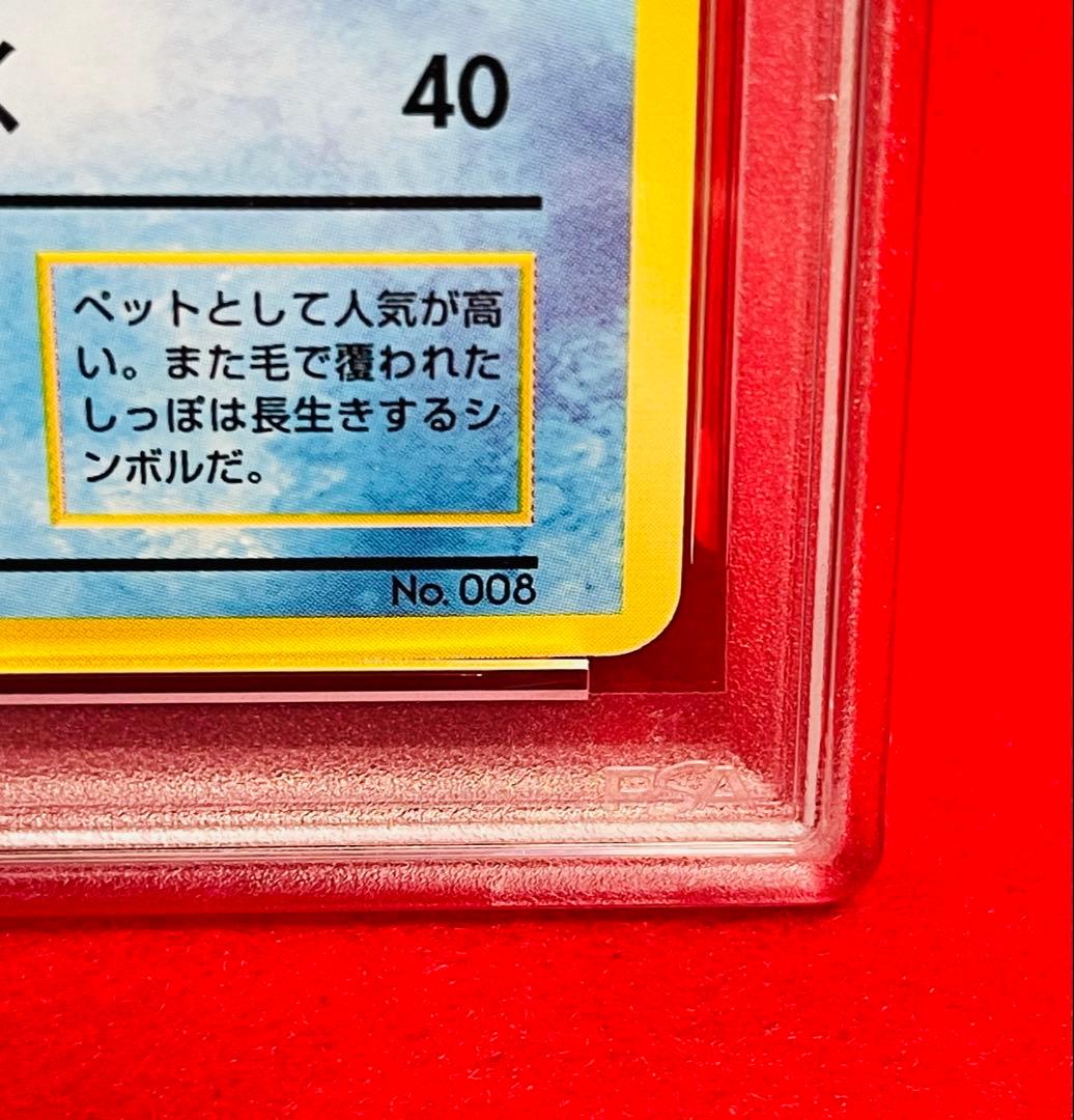 【旧裏初版】ポケモンカード　旧裏　カメール　レトロ　貴重　PSA8