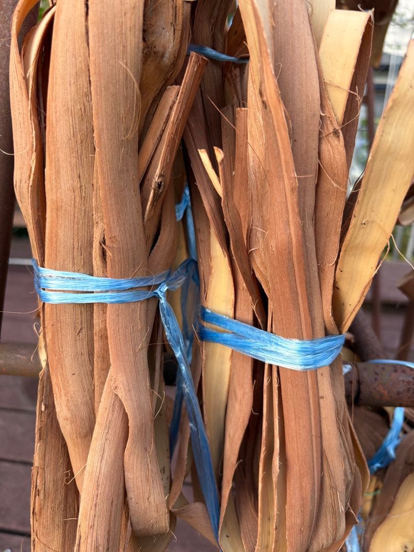 岩手県産山葡萄　樹皮　S級　②