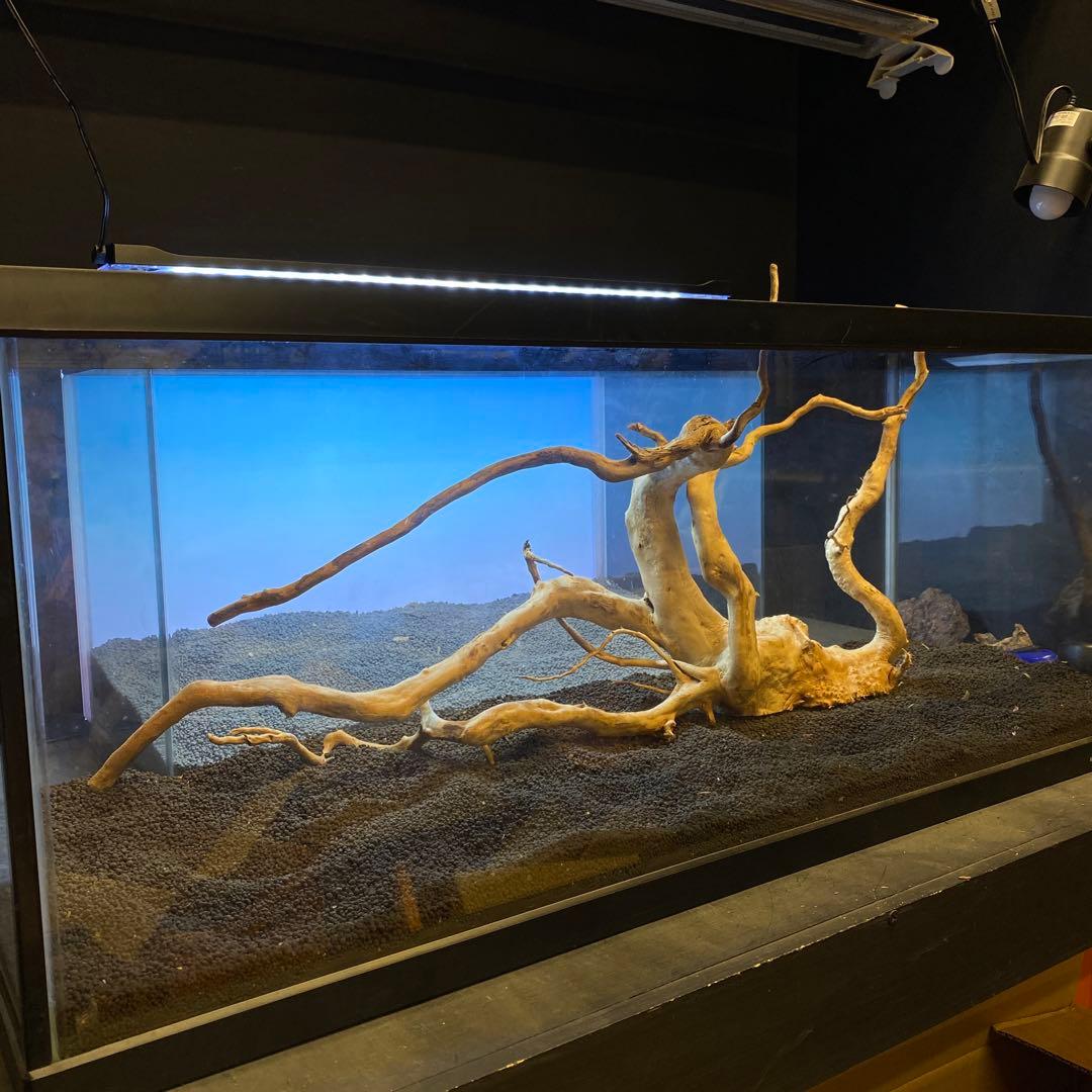 MDW-5605 特大ブランチウッド90cm水槽用流木枝流木アクアリウム