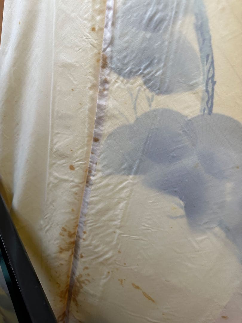 振袖 ベージュ系 松に孔雀 着用可ですが裏地にシミあり インテリア