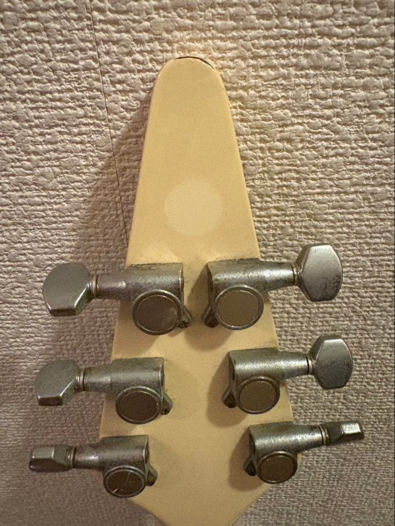 ギター Fernandes The Function