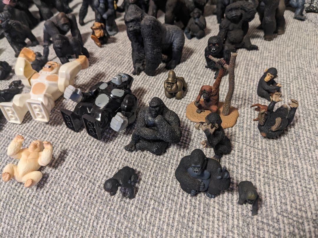 ゴリラの群れ　 約70体