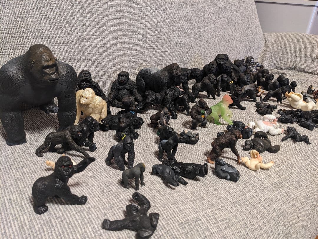 ゴリラの群れ　 約70体