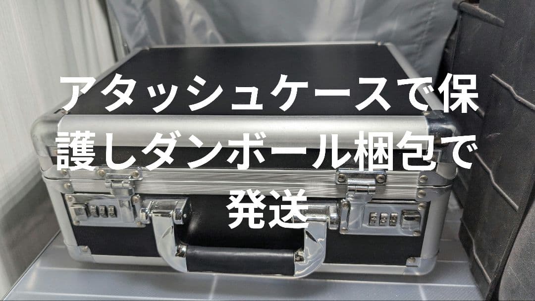 塗装済み完成品　プラモデル　星恒　STAR ETERNAL　海外製 全塗装完成品