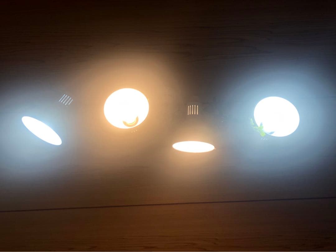 NITORIニトリ✳︎シーリングライト メストロ4RC(ホワイト) ライト・照明