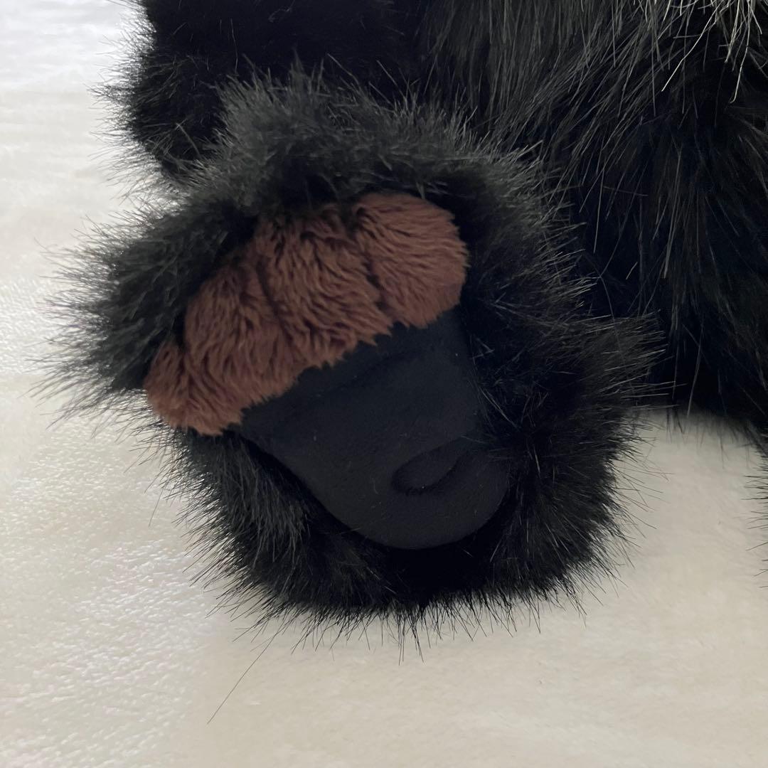 Charlie Bears テディベア ツキノワグマ チャーリーベアーズ