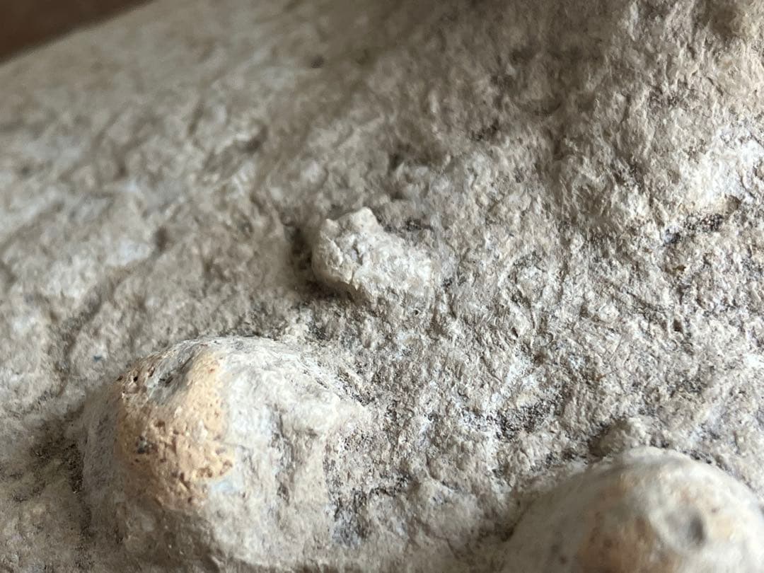 中国 古代の羊像 新石器時代後期頃 前3000～2000年】骨董発掘