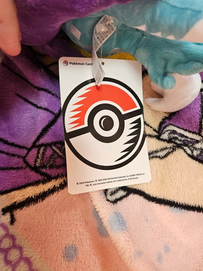 ポケモン　ぬいぐるみ　本日限定値下げ