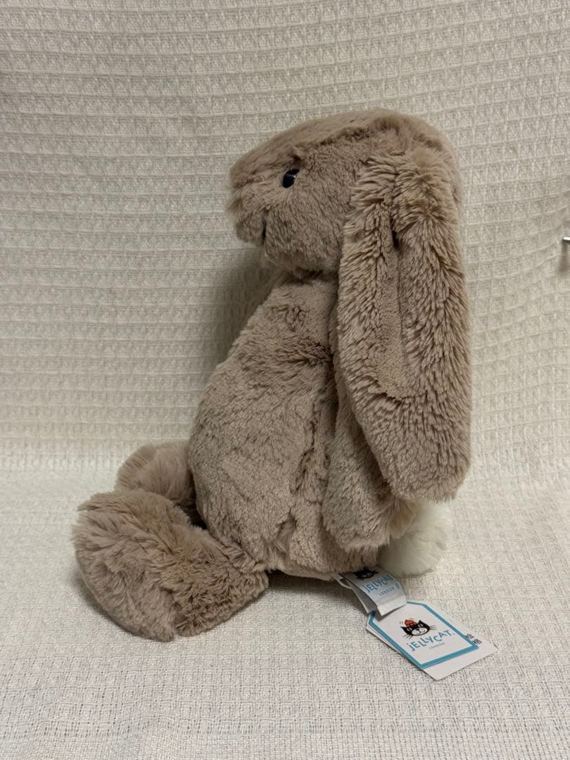  ジェリーキャットBashful Beige Bunny (M)
