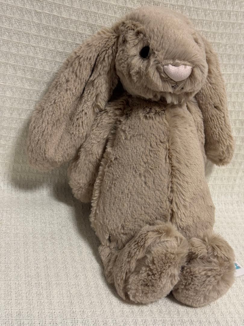  ジェリーキャットBashful Beige Bunny (M)