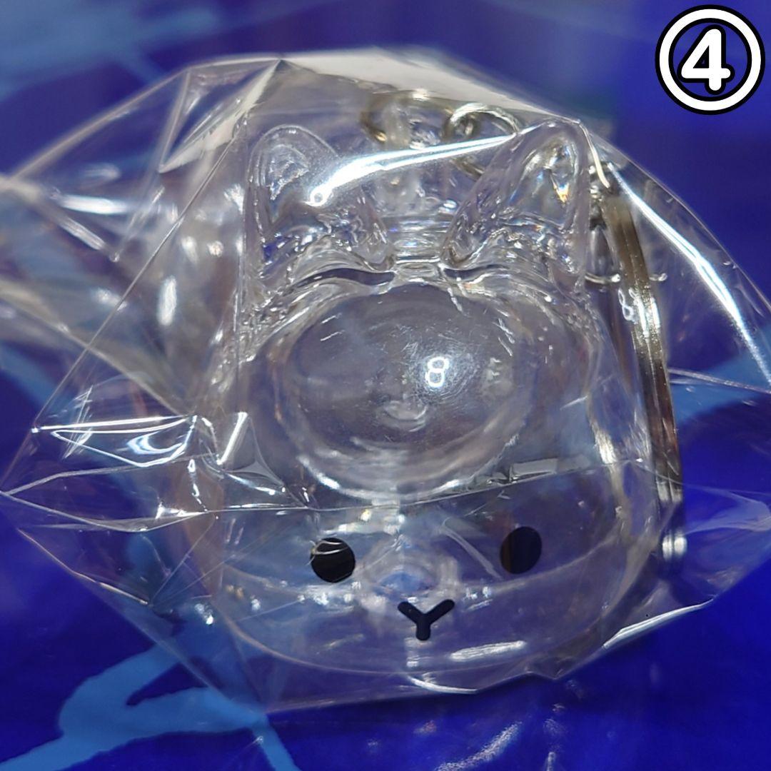 ◇新品◇うさぎの毛玉入れ キーホルダー ꪔ̤̥ - メルカリ