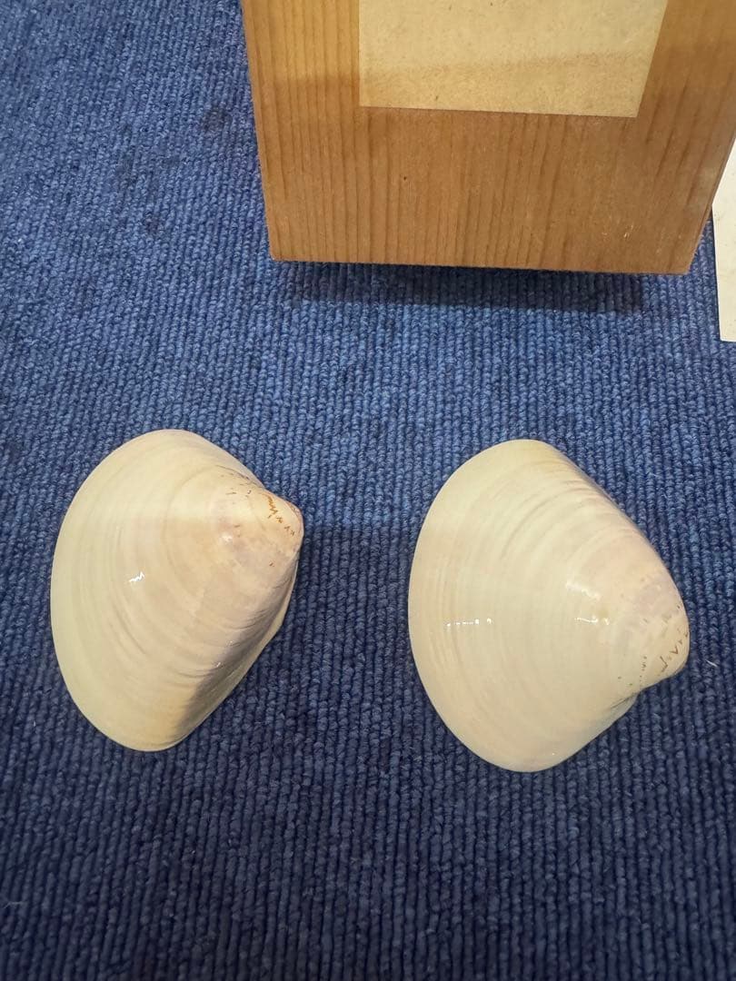 1589 環翠庵 天然 蛤香合