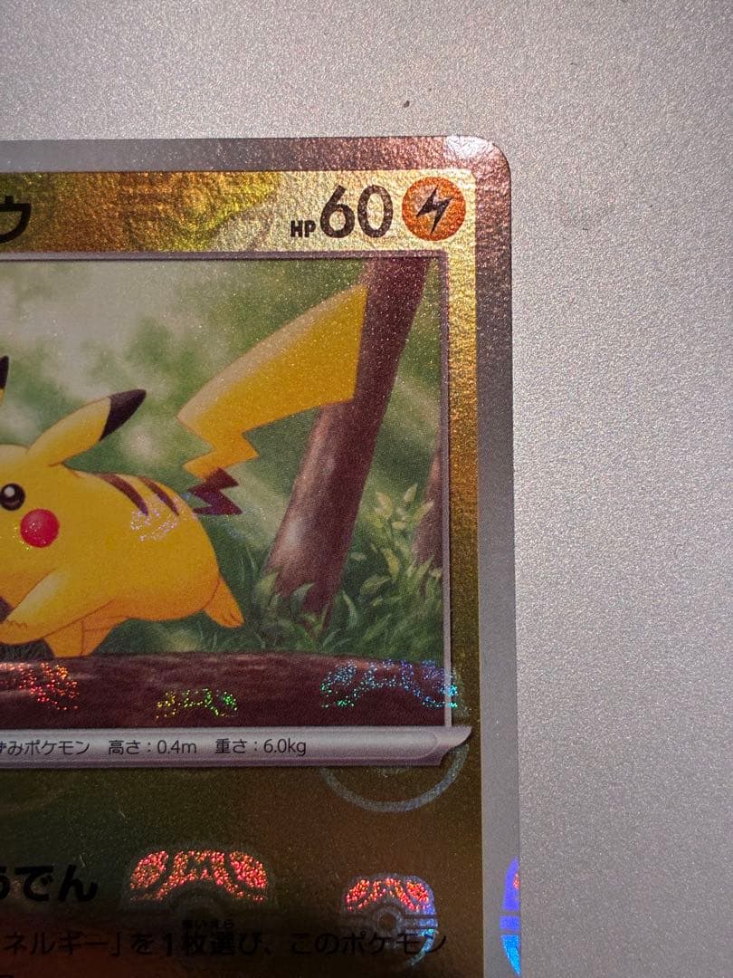 マスボピカチュウ