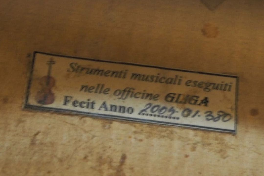 Gliga チェロ グリガ ムジリア Musilia 高級 ハードケース - メルカリ