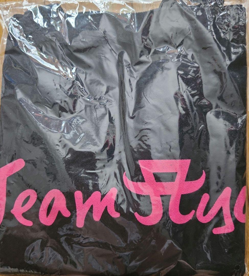 浜崎あゆみ a-nation Team ayu トートバッグ 会場当選品