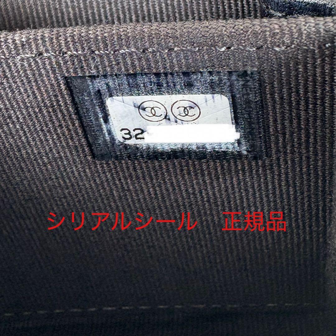 CHANEL 19 ディズヌフ　ケース　フラグメントケース