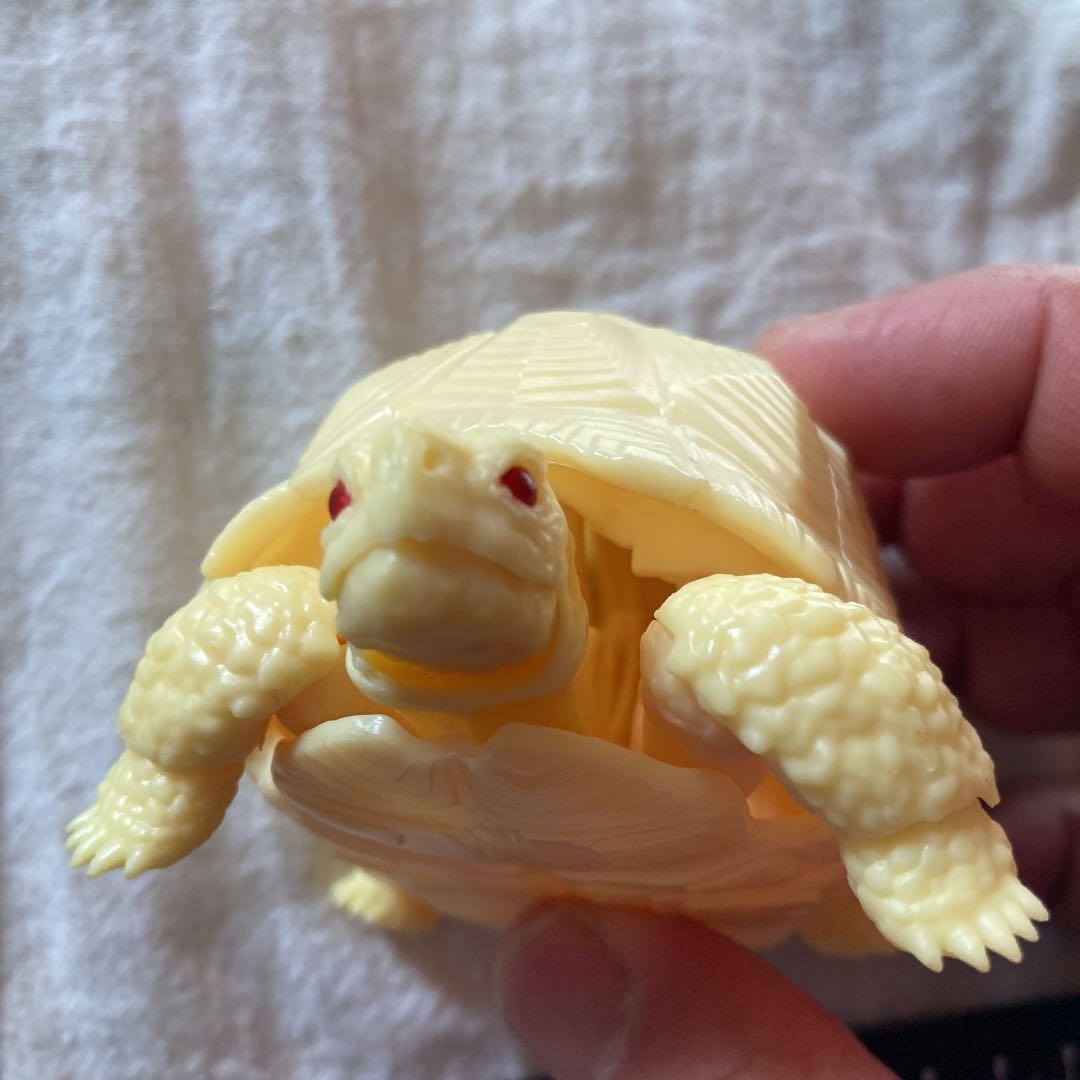 亀 フィギュア ガチャ バンダイ ミルキーカラー 赤目