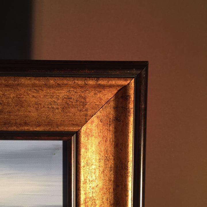 手書き油絵 海と海鳥 額付 絵画 インテリア