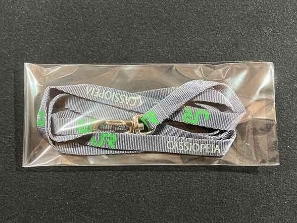 JR東日本 ストラップ カシオペア E26系 キャラクターグッズ