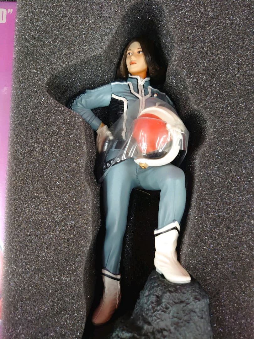 ウルトラヒロイン伝説アンヌからセブンへ.DVD。