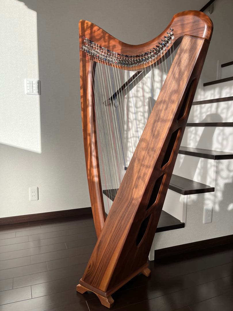 Triplett社 ハープ シエラ34弦