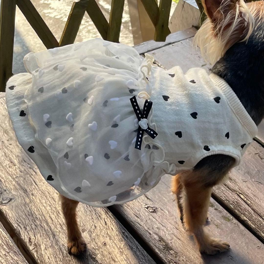 ○犬服○ハンドメイド 胴45 NO.568