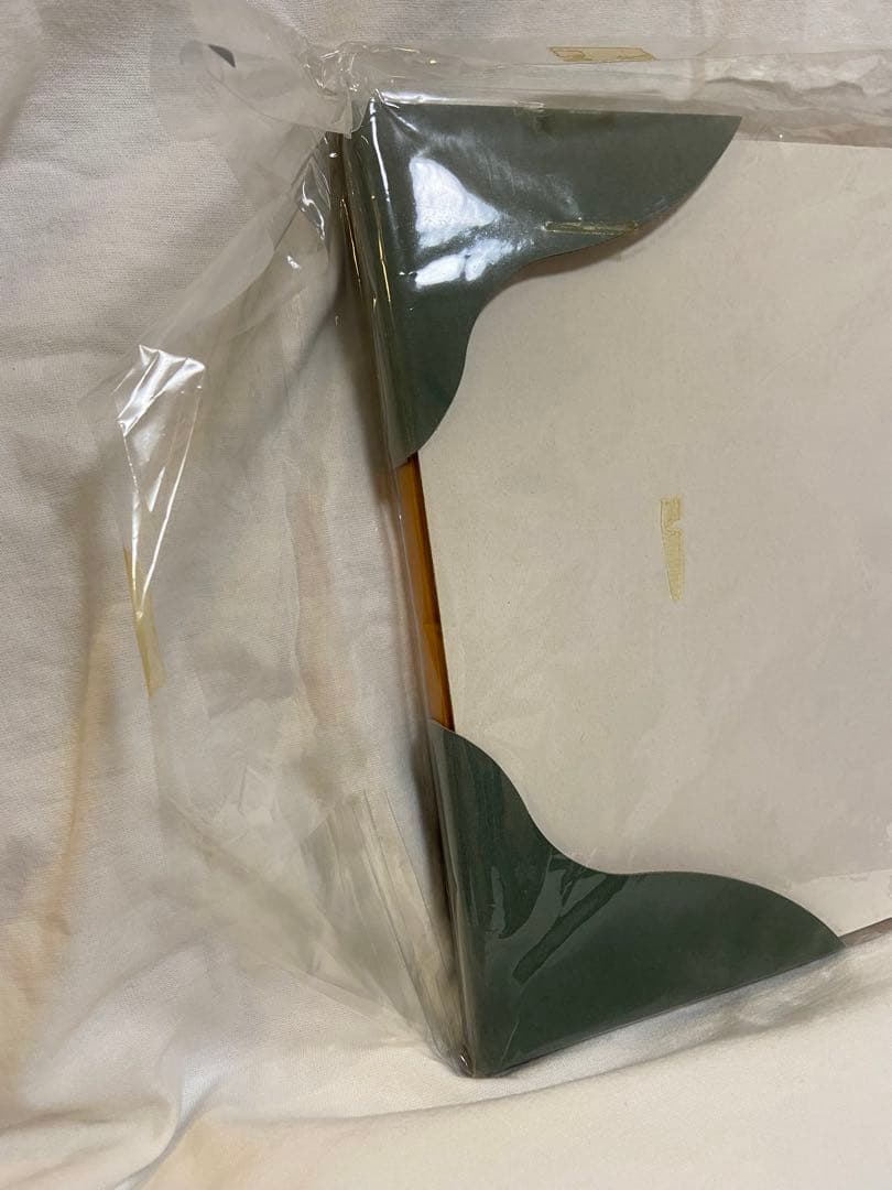 【非売品】アドベンチャーワールド　双子パンダ DVD 写真 A4フレーム レア