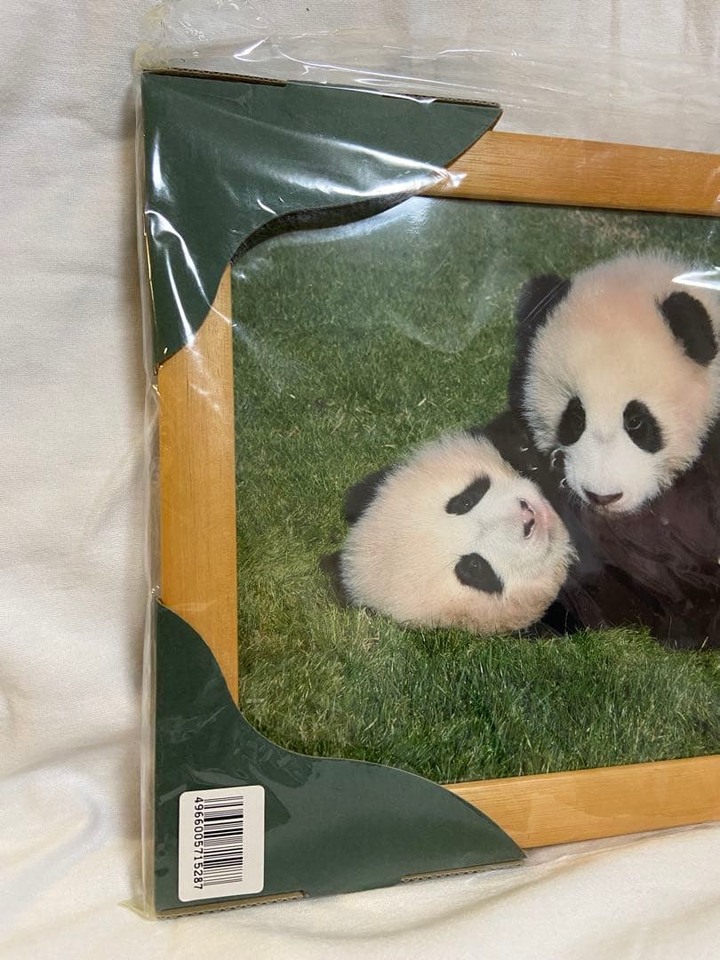 【非売品】アドベンチャーワールド　双子パンダ DVD 写真 A4フレーム レア