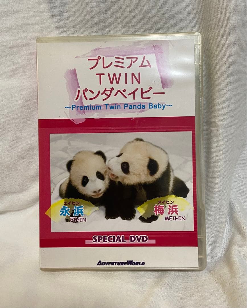 【非売品】アドベンチャーワールド　双子パンダ DVD 写真 A4フレーム レア