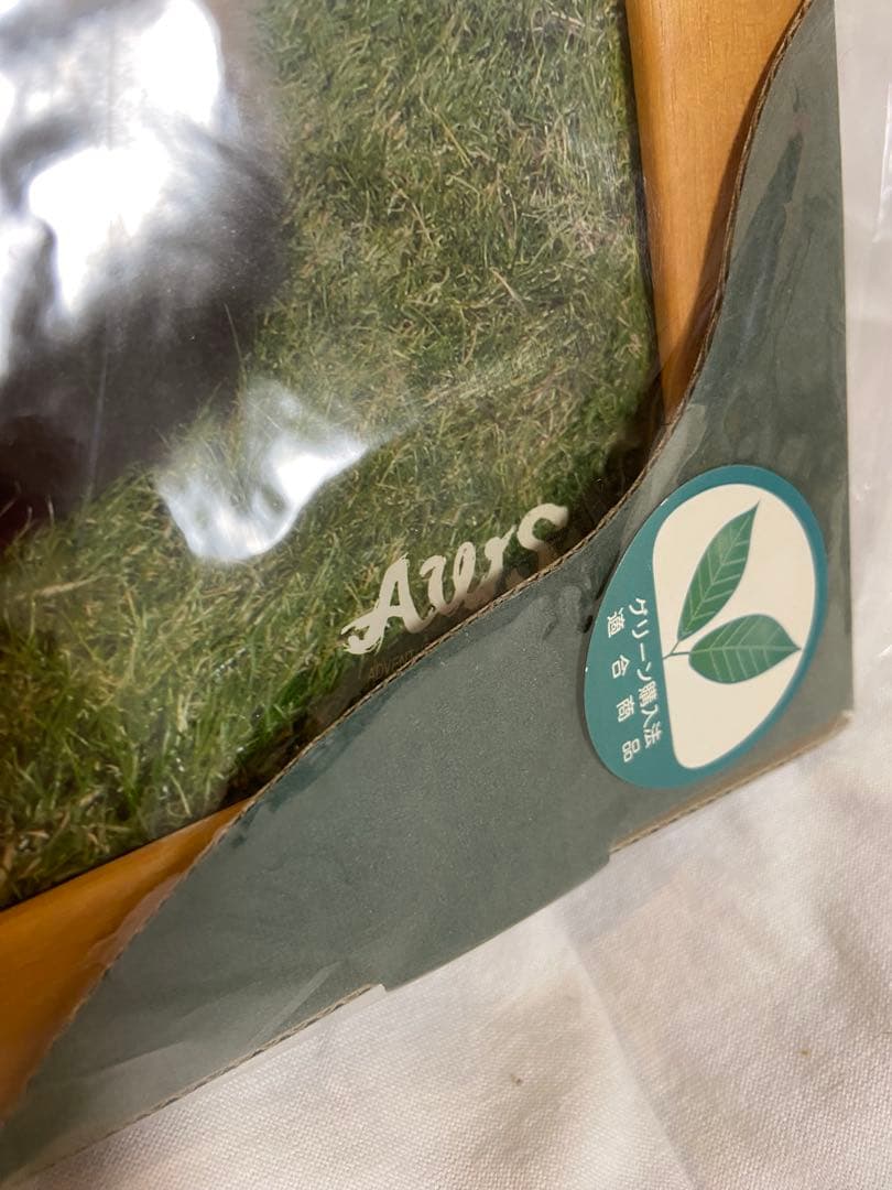 【非売品】アドベンチャーワールド　双子パンダ DVD 写真 A4フレーム レア