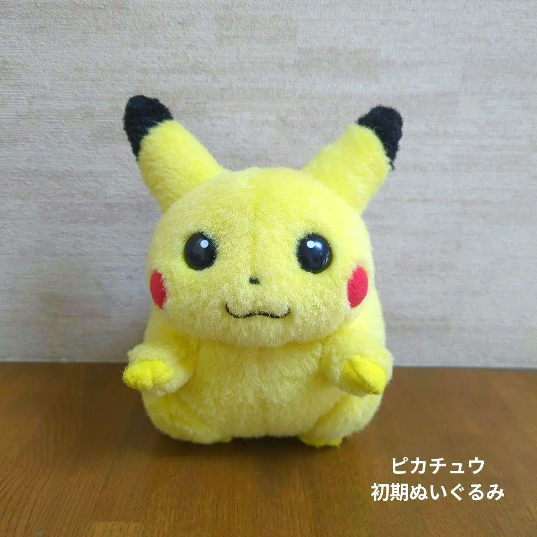 ピカチュウのコスプレ（じんま着用済み）