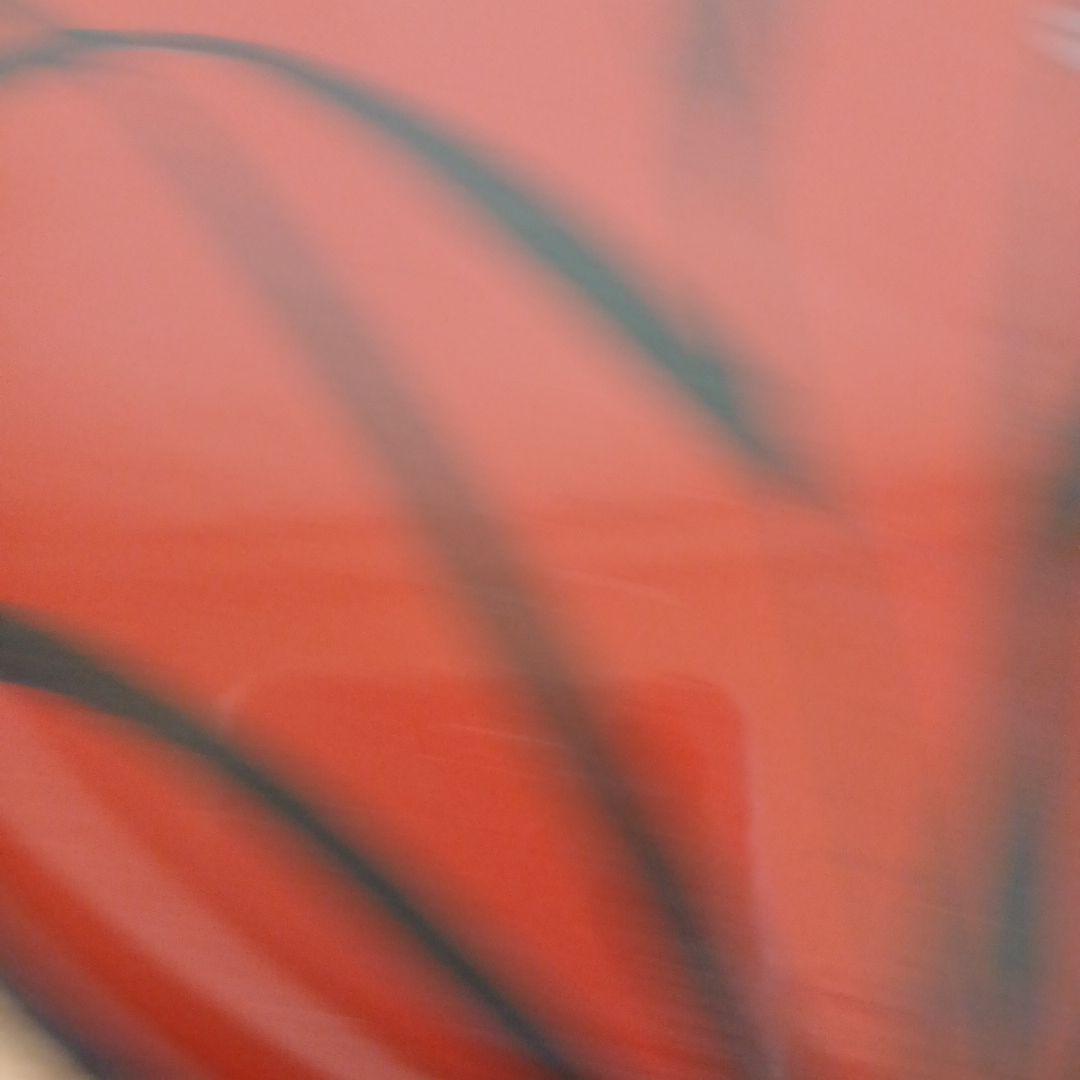 赤黒漆塗り 植物模様の円形膳