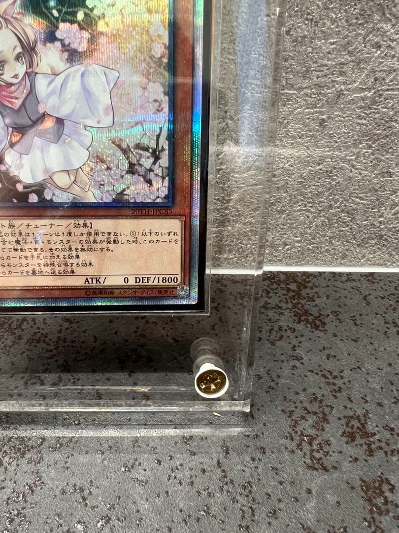 遊戯王OCG 灰流うらら20th & ブルーアイズオルタナティブホワイトドラゴン