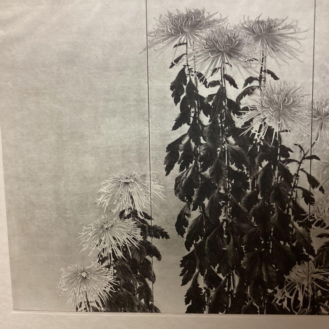 天才画家速水御舟　作品集大作編　便利堂監修　画集　NO 10 【菊花図】