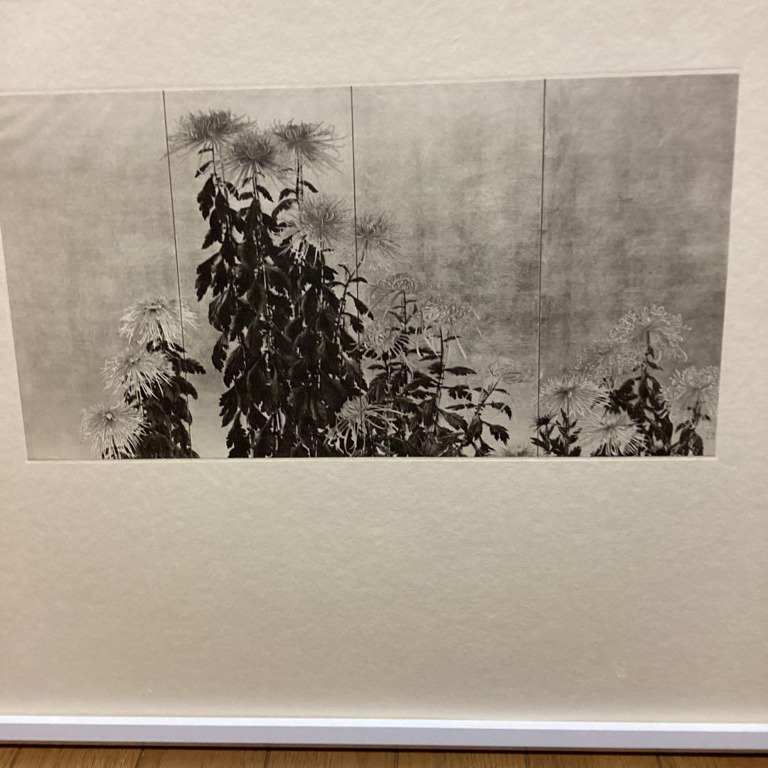 天才画家速水御舟　作品集大作編　便利堂監修　画集　NO 10 【菊花図】