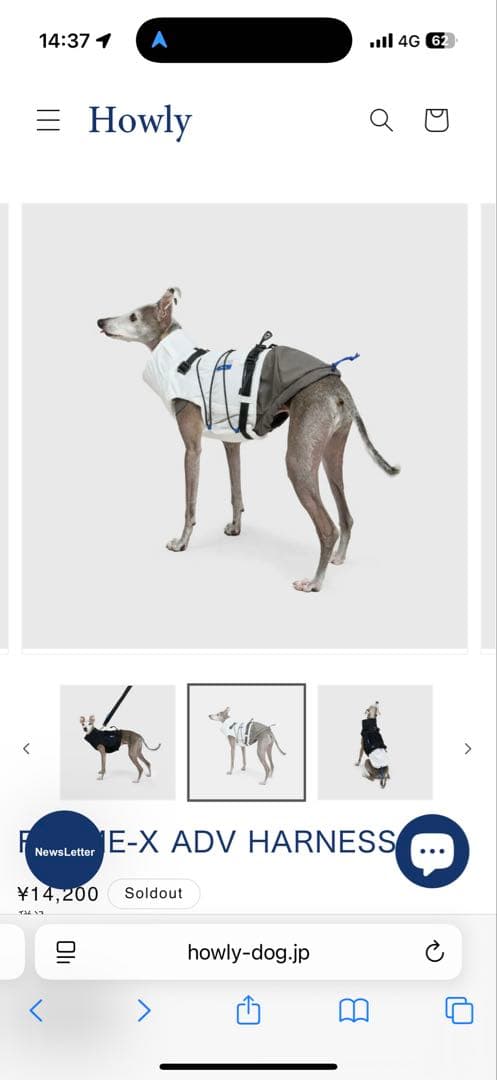 Howly FRAME-X ADV HARNESS - White Ssize Mサイズ白】 試着のみHowly