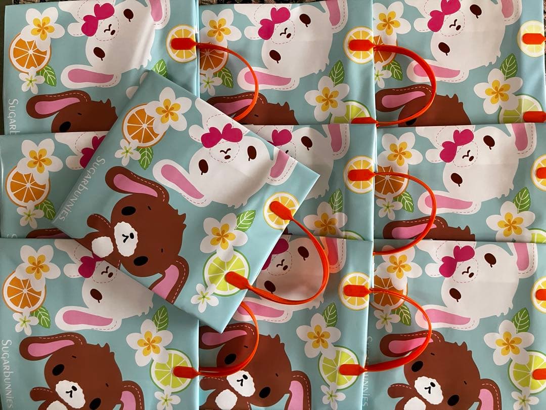 サンリオSugarbunniesシュガーバニーズ発泡バッグ10枚まとめて サンリオSugarbunniesシュガーバニーズ発泡バッグ10枚まとめて