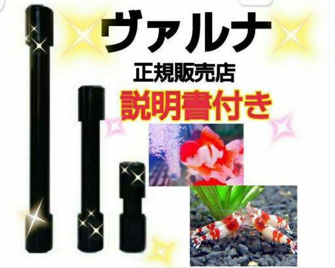 水槽の水が綺麗になる☆【ヴァルナ☆8センチ】有害物質を強力