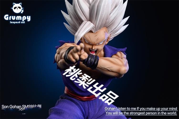 新品未開封『ドラコンボール』 孫悟飯ビースト　 ガレージキット スタチュー