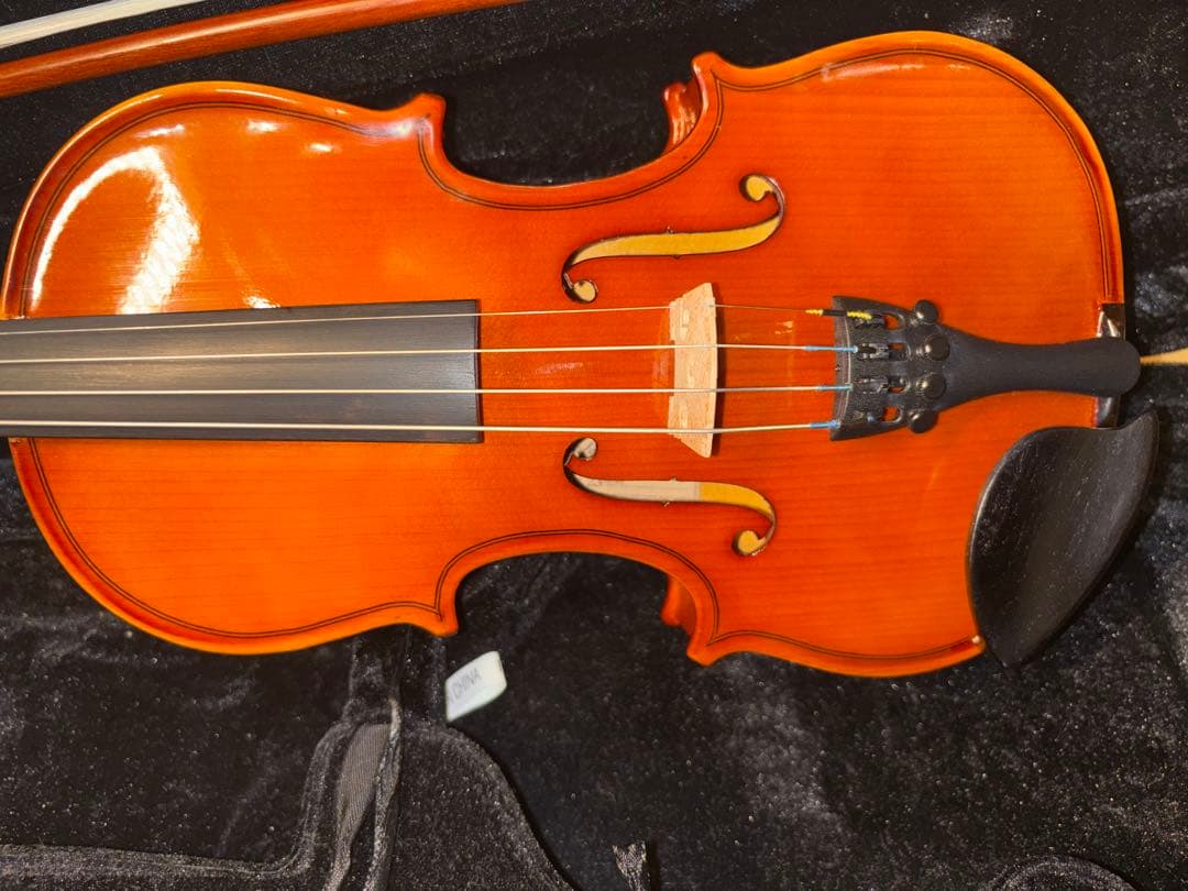 Carlo Giordano カルロジョルダーノ1/8 バイオリン VS-1