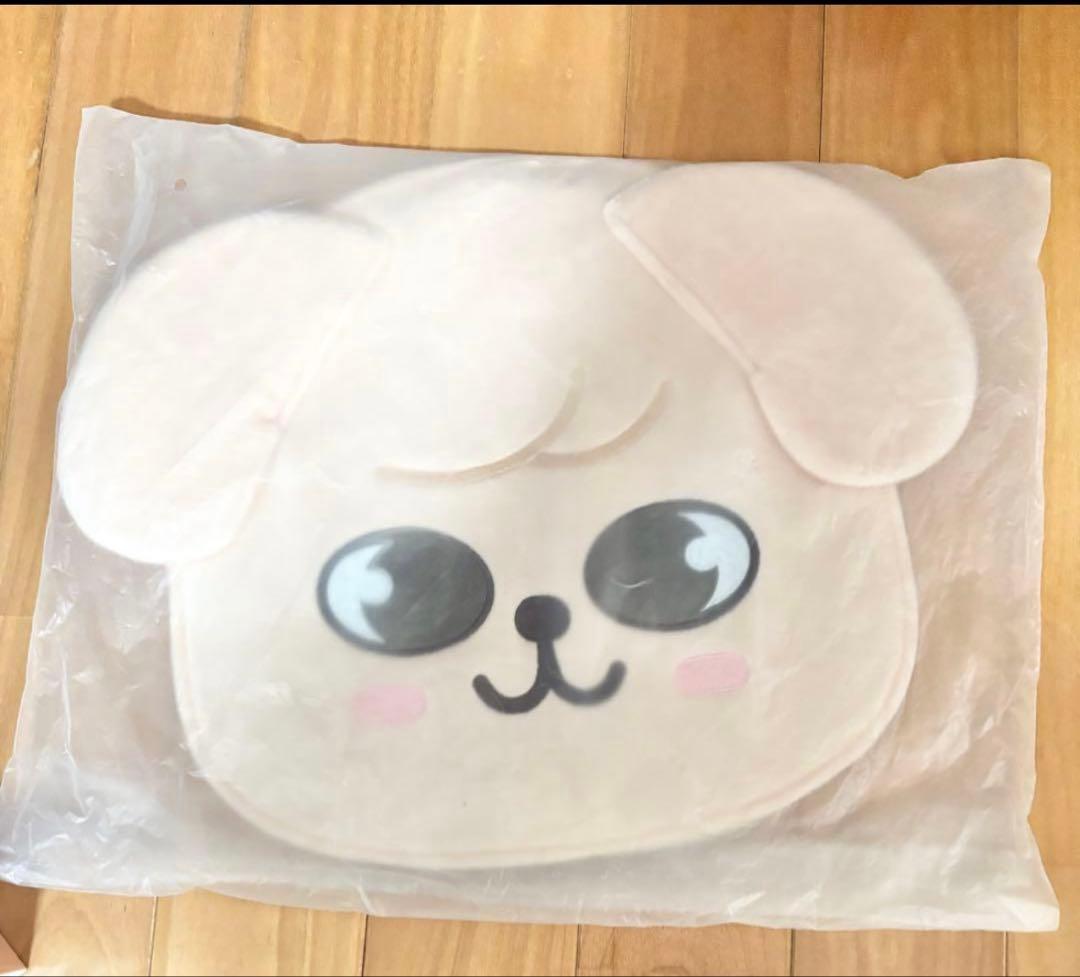 stray kids スンミン パピム　ソウルコン　SKZOO ペンミ