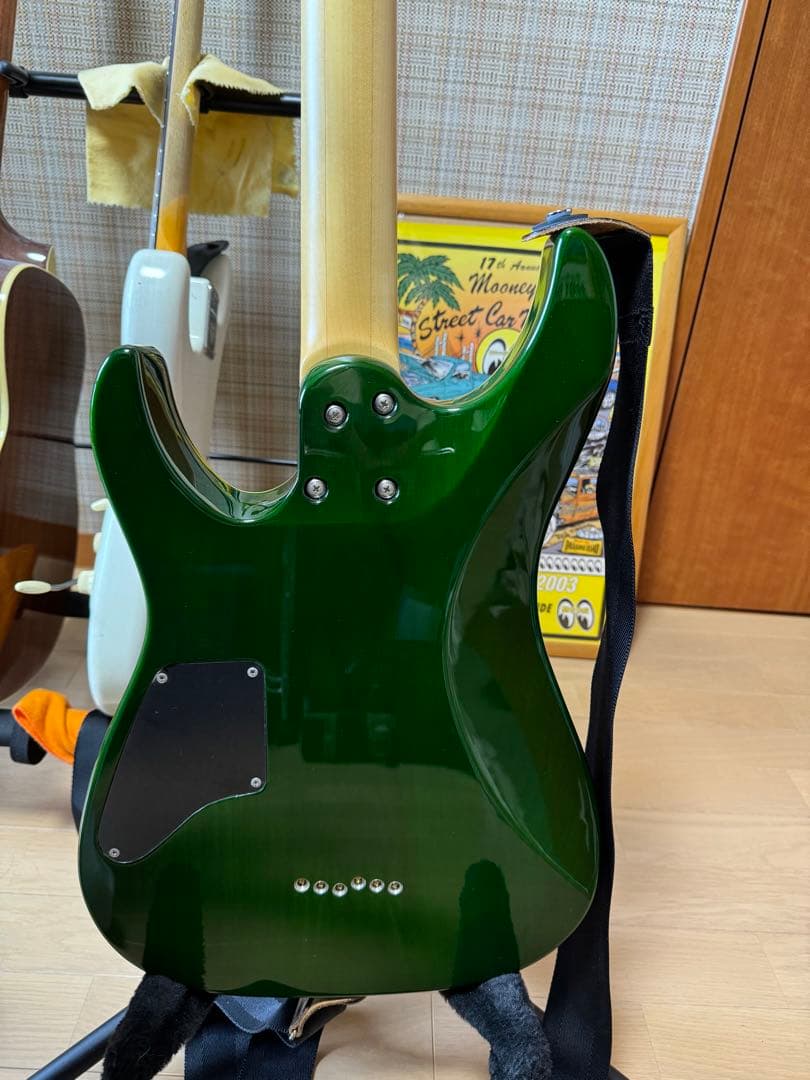 fact SHADOWS TAKAHIRO SCHECTER PA-SW/TH