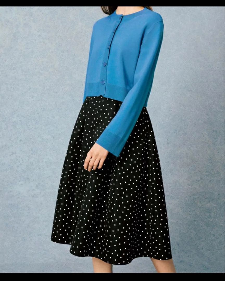 定価64900円FOXEY NEW YORK ドット柄フレアスカート42サイズ