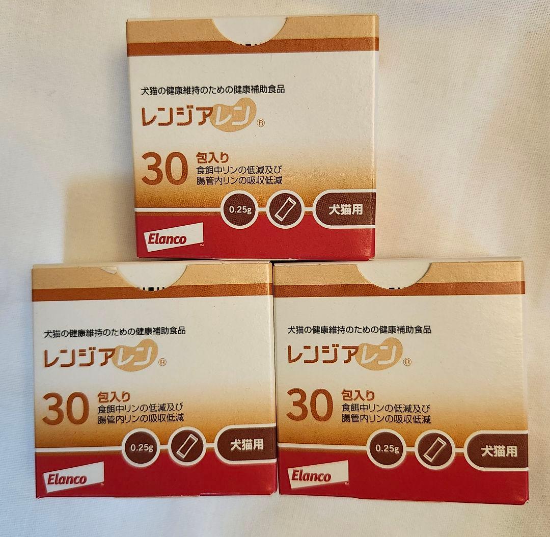 中島潔 【夏のバス停】 レフグラフ保証書有り